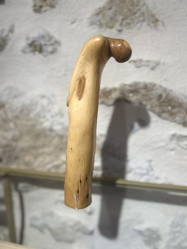 Perdu