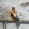 Foulée